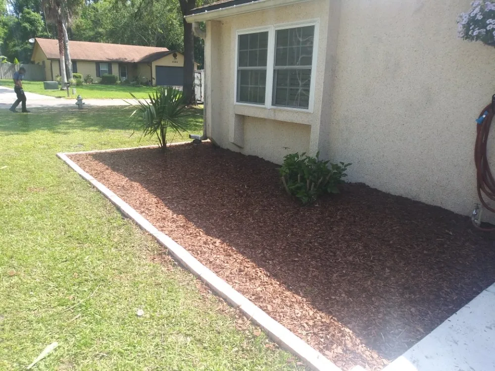 Affordable lawn care service in Orange Park, FL by Lawn masters