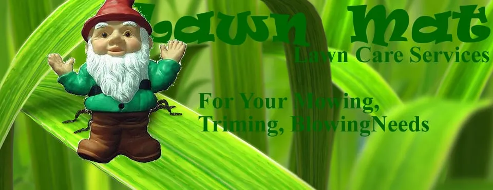 Affordable lawn care service for year-round maintenance across Austin, TX - Lawn-Mat Lawn Care Services