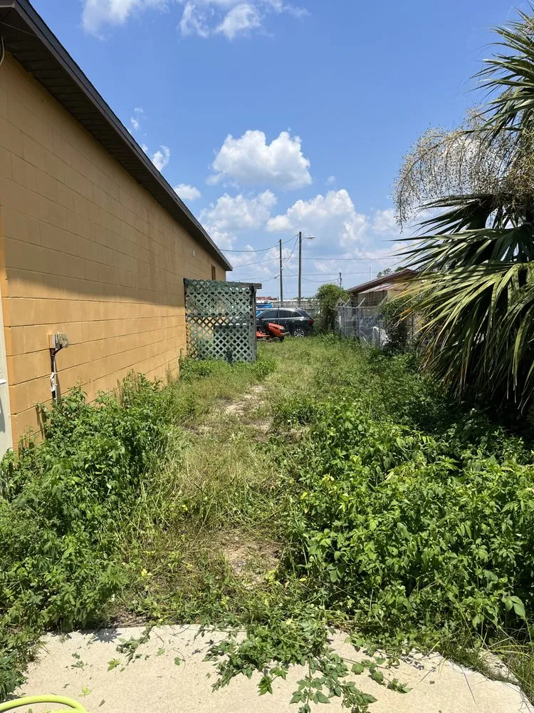 Trusted lawn care service for residential properties across Ocala, FL - Lawn Maurer