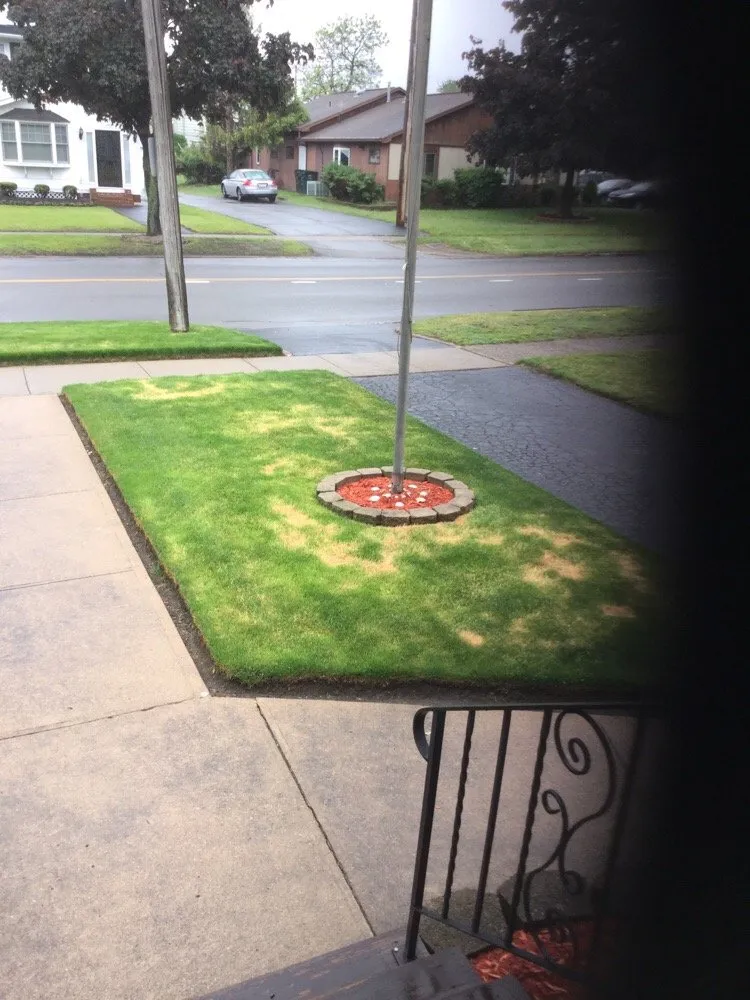 Professional garden landscaping for outdoor upgrades across Bergen, NY - Lawn Medic