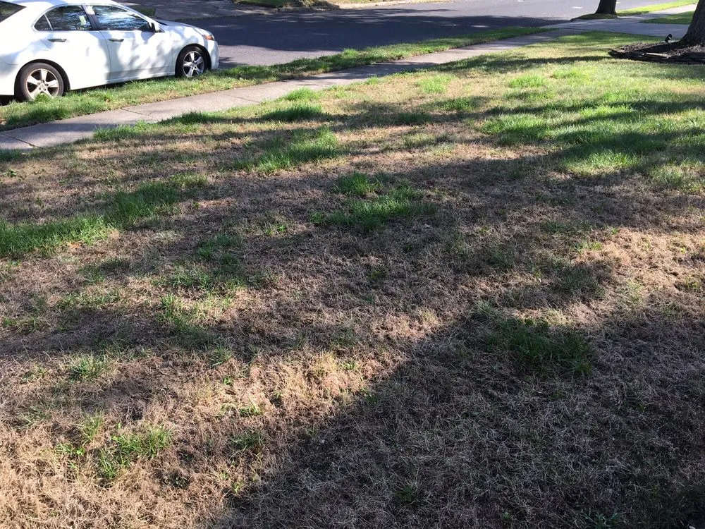 Top-rated yard maintenance in Deptford, NJ - Lawn Medic