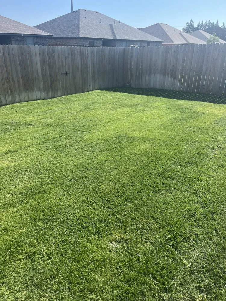 Professional lawn care service experts serving Lubbock, TX - Lawn Medic