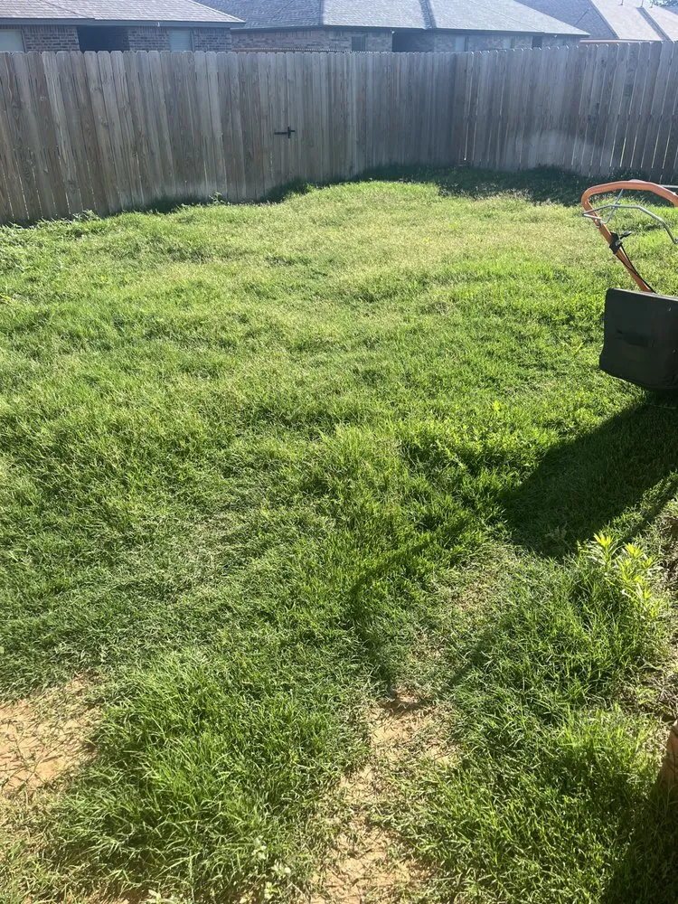 Top-rated landscaping services in Lubbock, TX - Lawn Medic