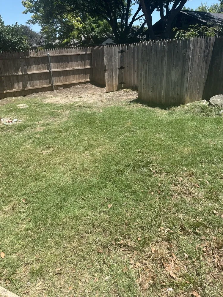 Professional landscaping services for year-round maintenance across Lubbock, TX - Lawn Medic