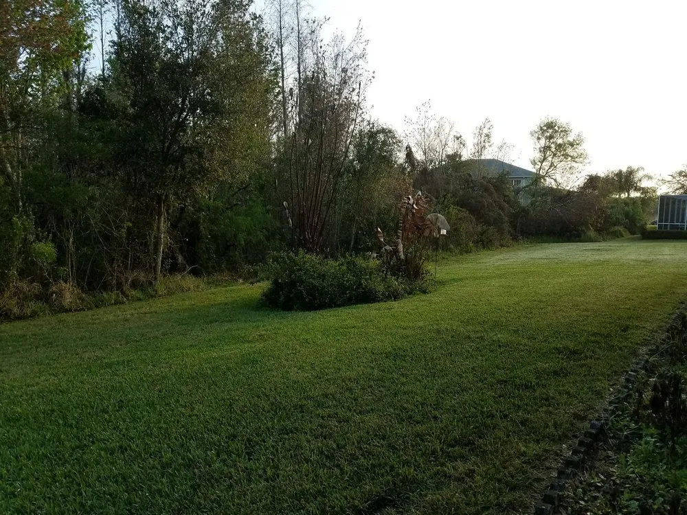 Top-rated landscaping services in Dover, FL - Lawn Medics