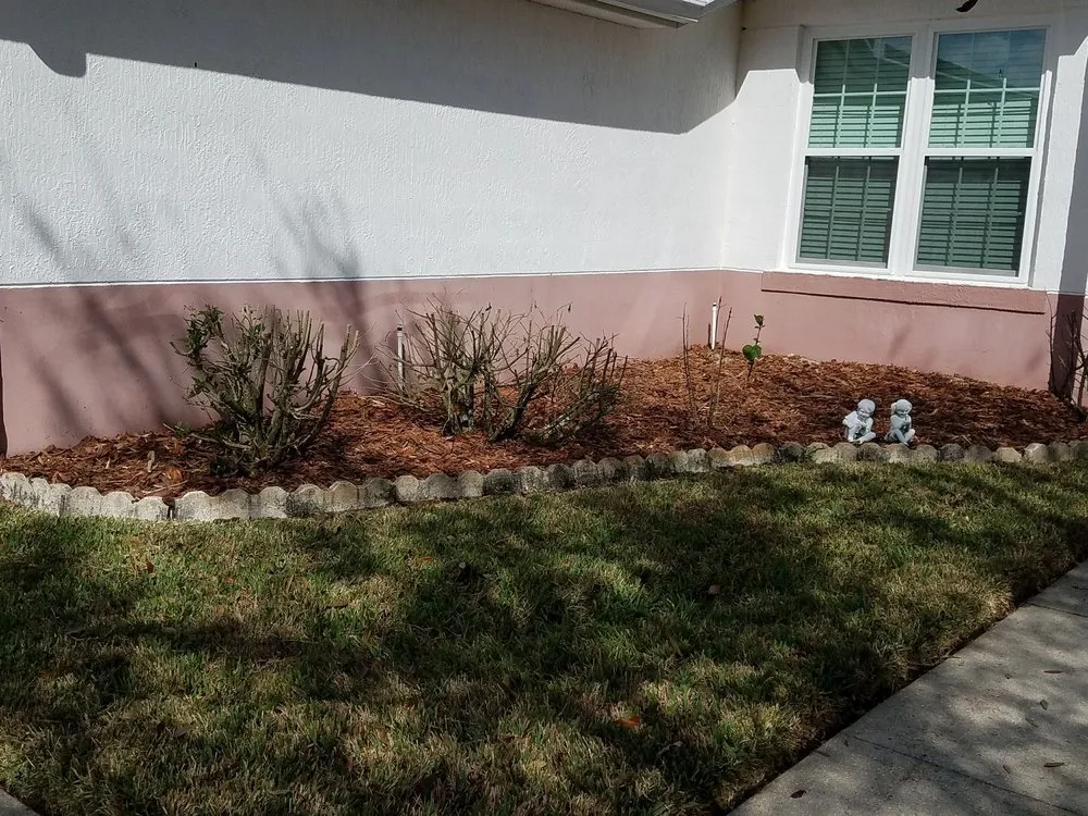 Trusted landscape design for beautiful yards in Dover, FL by Lawn Medics