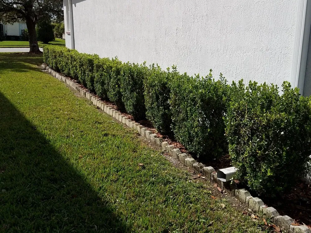 Top-rated lawn mowing service with custom design in Dover, FL by Lawn Medics