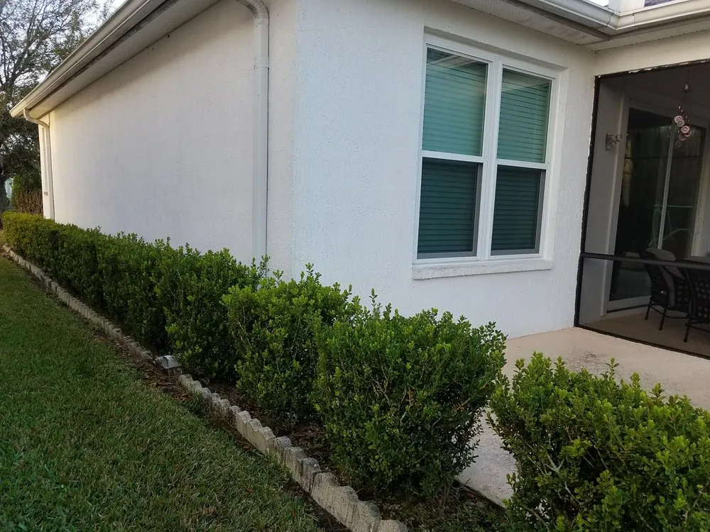 Custom lawn care service in Dover, FL - Lawn Medics