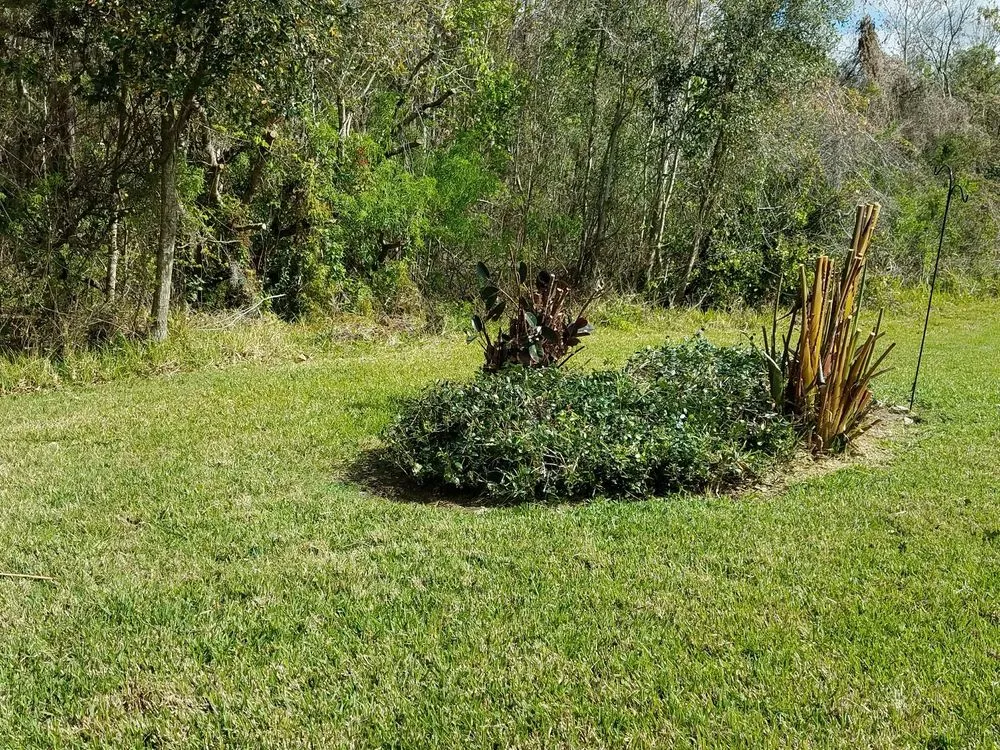Trusted yard maintenance in Dover, FL by Lawn Medics
