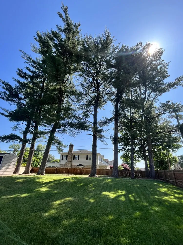 Professional landscape installation experts serving New Oxford, PA - Lawn Men Contractors