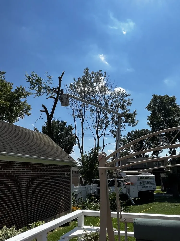 Top-rated residential landscaping in New Oxford, PA by Lawn Men Contractors