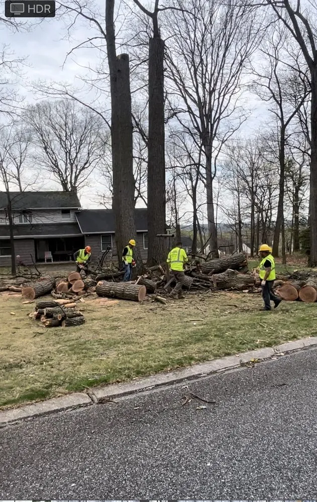 Trusted landscaping services experts serving New Oxford, PA - Lawn Men Contractors