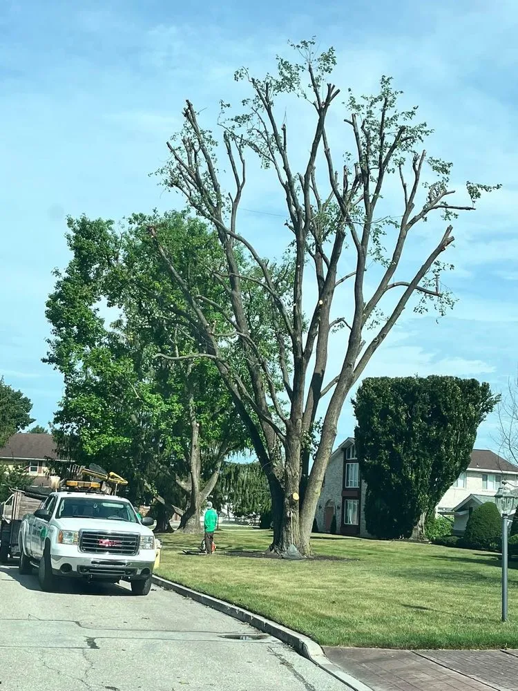 Trusted landscape design experts serving New Oxford, PA - Lawn Men Contractors