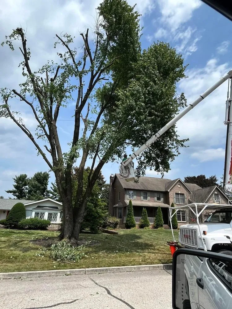 Custom landscaping services in New Oxford, PA by Lawn Men Contractors