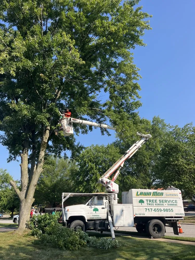 Reliable yard maintenance experts serving New Oxford, PA - Lawn Men Contractors