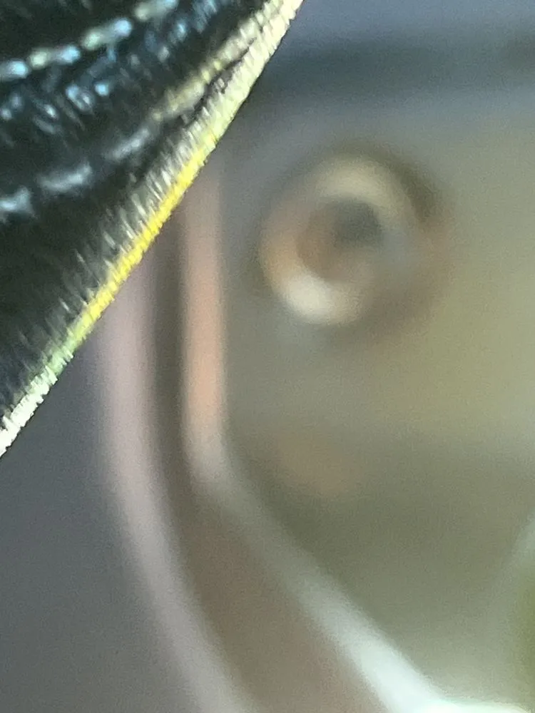 Expert yard maintenance in LaGrange, GA by Lawn Men