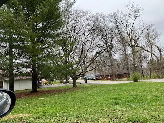 Affordable yard cleanup service in Belleville, IL - Lawn-Mex Professional