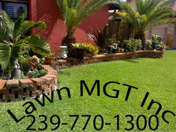 Professional yard cleanup service for residential properties across Cape Coral, FL - Lawn MGT
