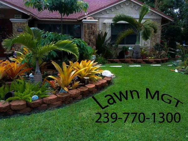Top-rated lawn care service for outdoor upgrades across Cape Coral, FL - Lawn MGT