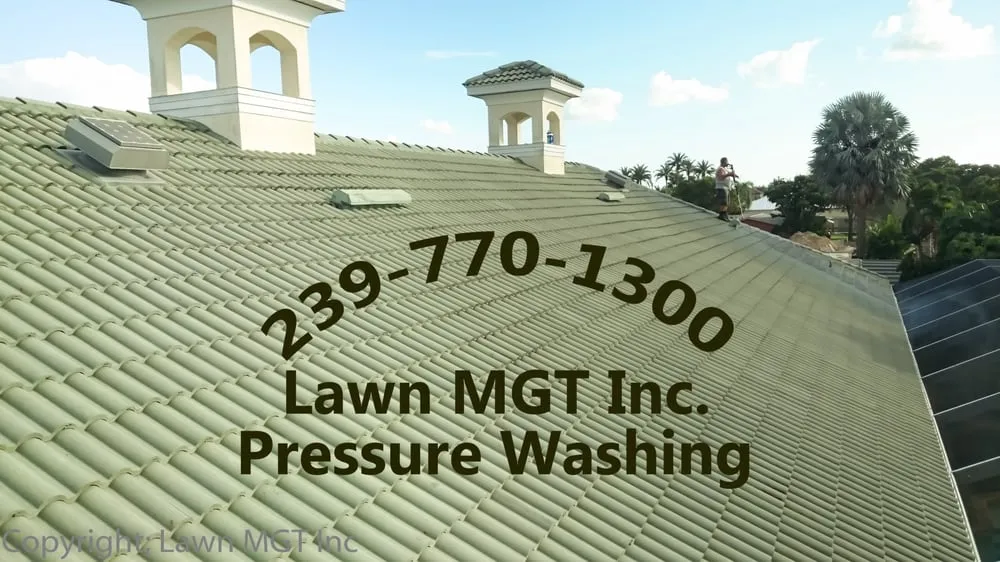 Affordable landscaping services in Cape Coral, FL - Lawn MGT