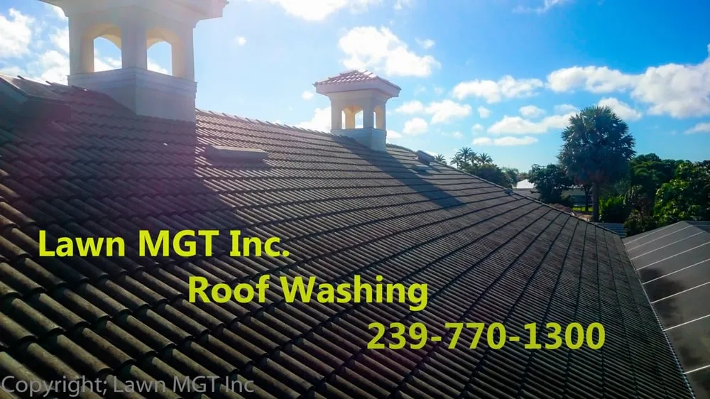 Reliable landscape design experts serving Cape Coral, FL - Lawn MGT