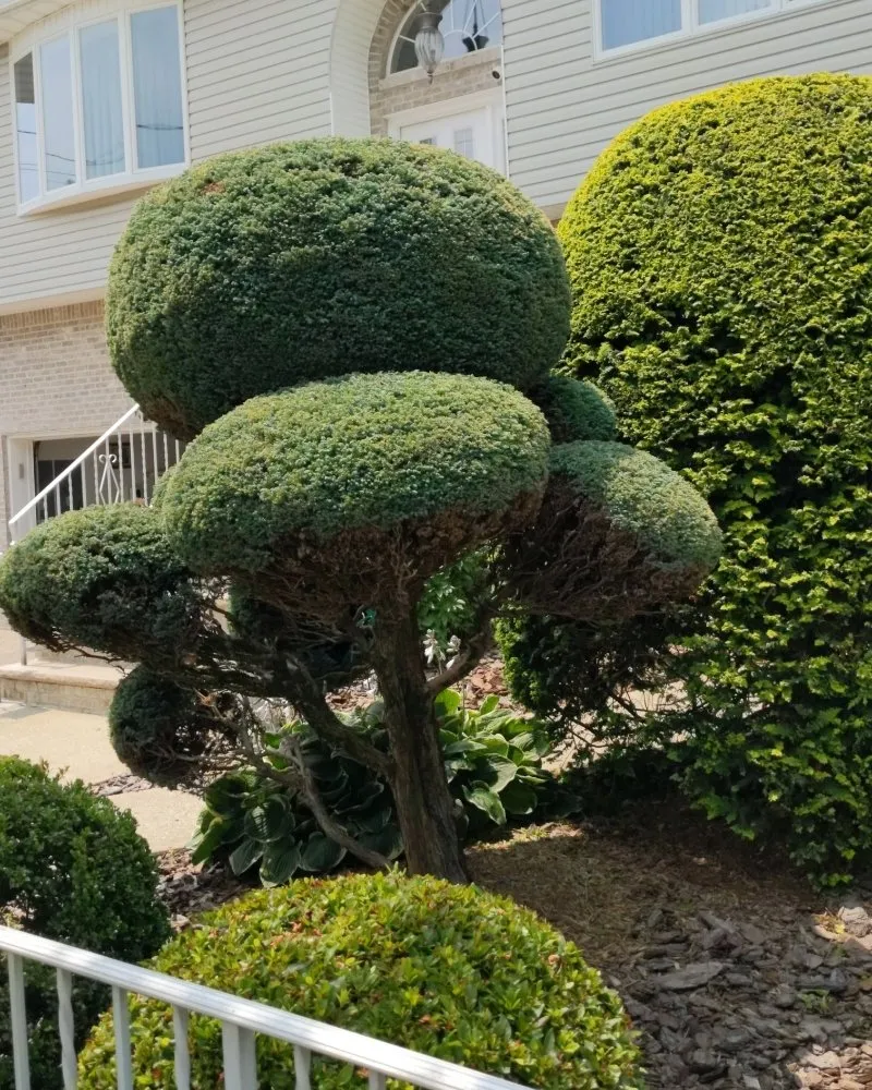 Local landscape design for beautiful yards in Hasbrouck Heights, NJ by Lawn Minions Landscaping