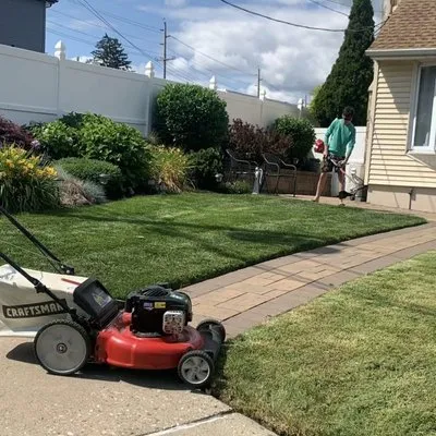 Lawn Minions Landscaping