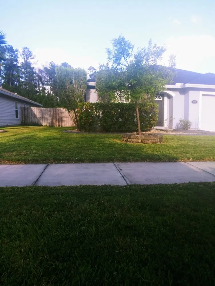 Reliable residential landscaping in Fernandina Beach, FL - Lawn Miracles