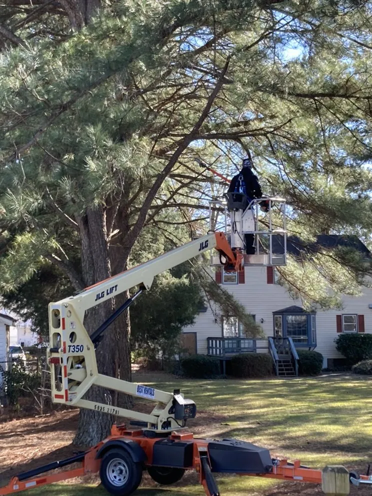 Affordable landscape design for homes in Wilson, NC by Lawn Miracles