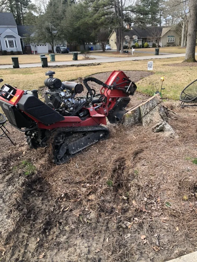 Top-rated garden landscaping in Wilson, NC by Lawn Miracles