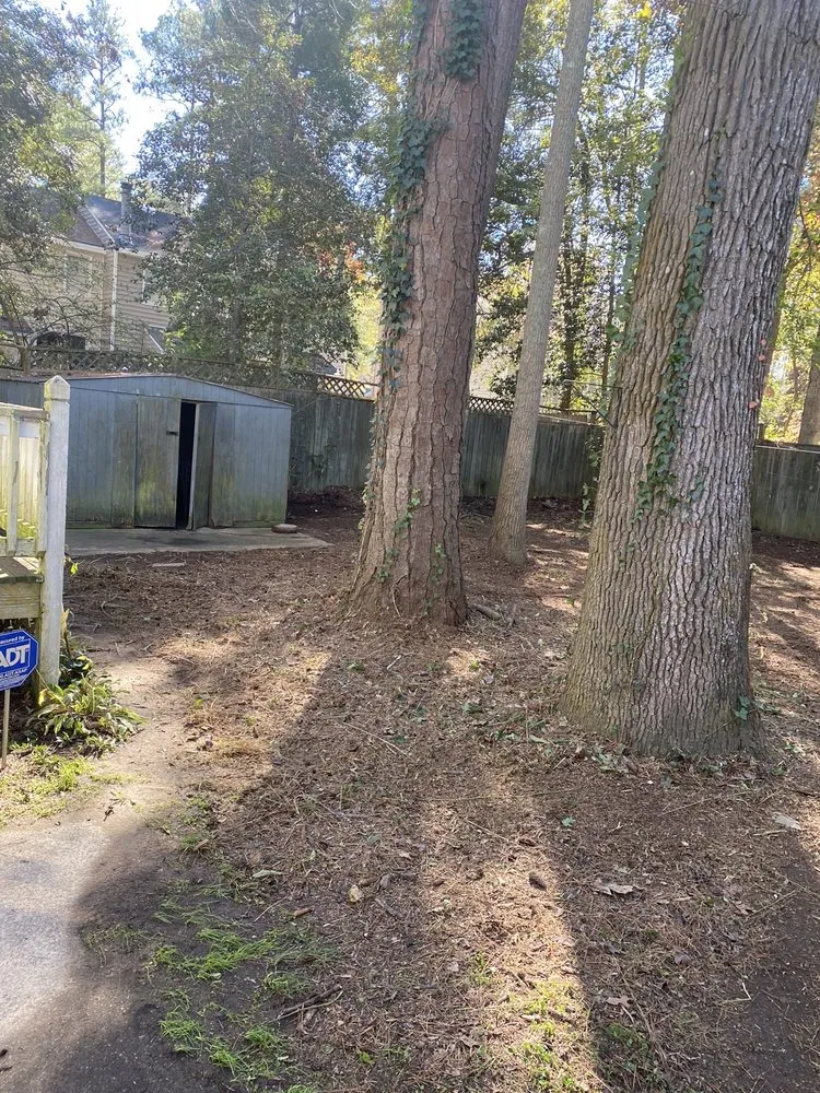 Trusted yard cleanup service for outdoor upgrades in Wilson, NC by Lawn Miracles