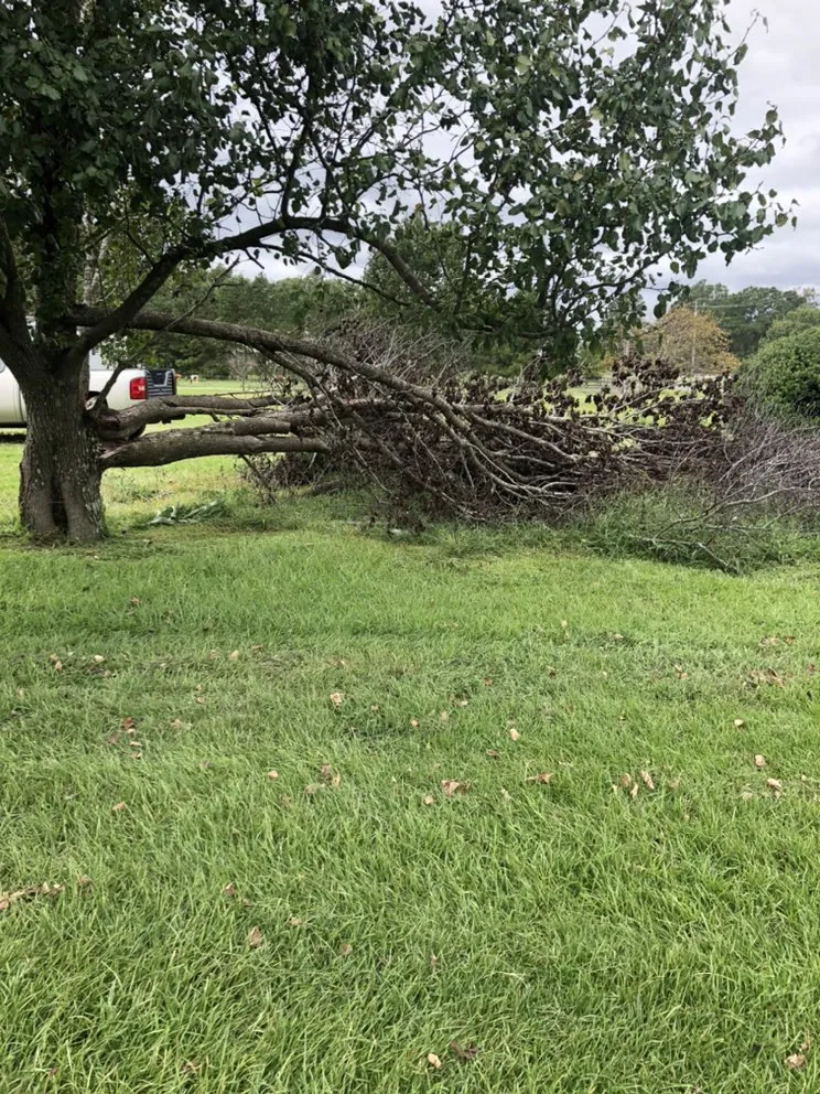 Custom landscape design experts serving Wilson, NC - Lawn Miracles