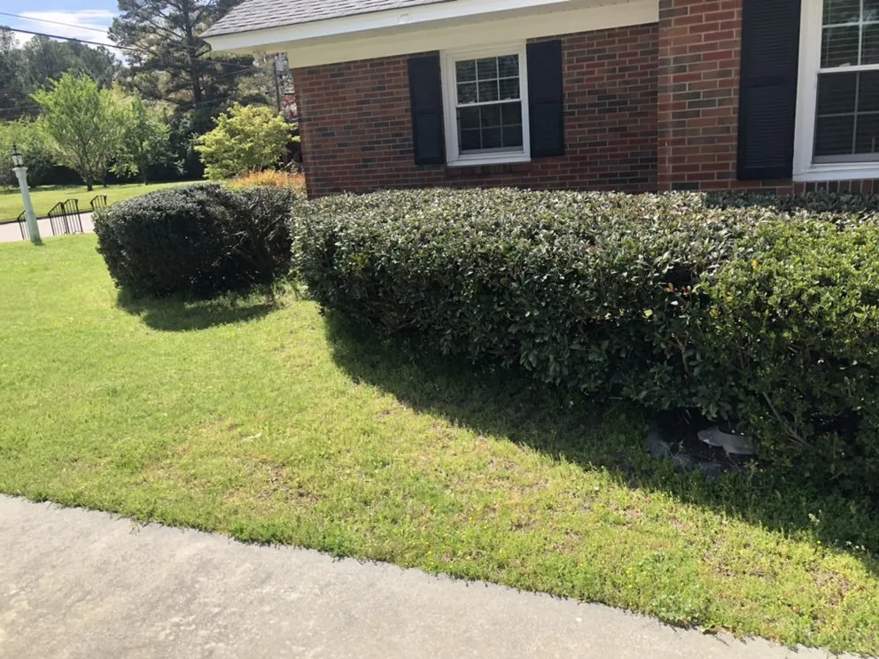 Professional lawn care service near you across Wilson, NC - Lawn Miracles