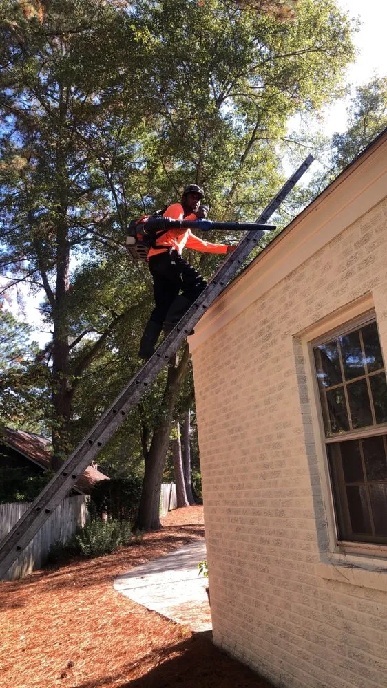 Custom outdoor landscaping for residential properties across Wilson, NC - Lawn Miracles