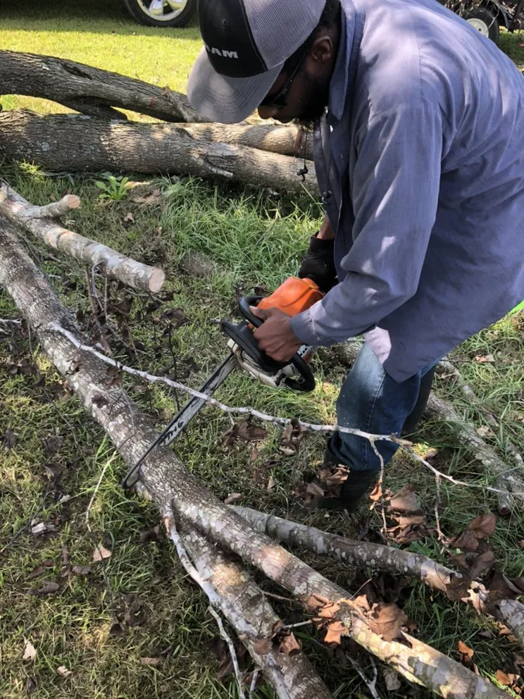 Reliable yard cleanup service experts serving Wilson, NC - Lawn Miracles