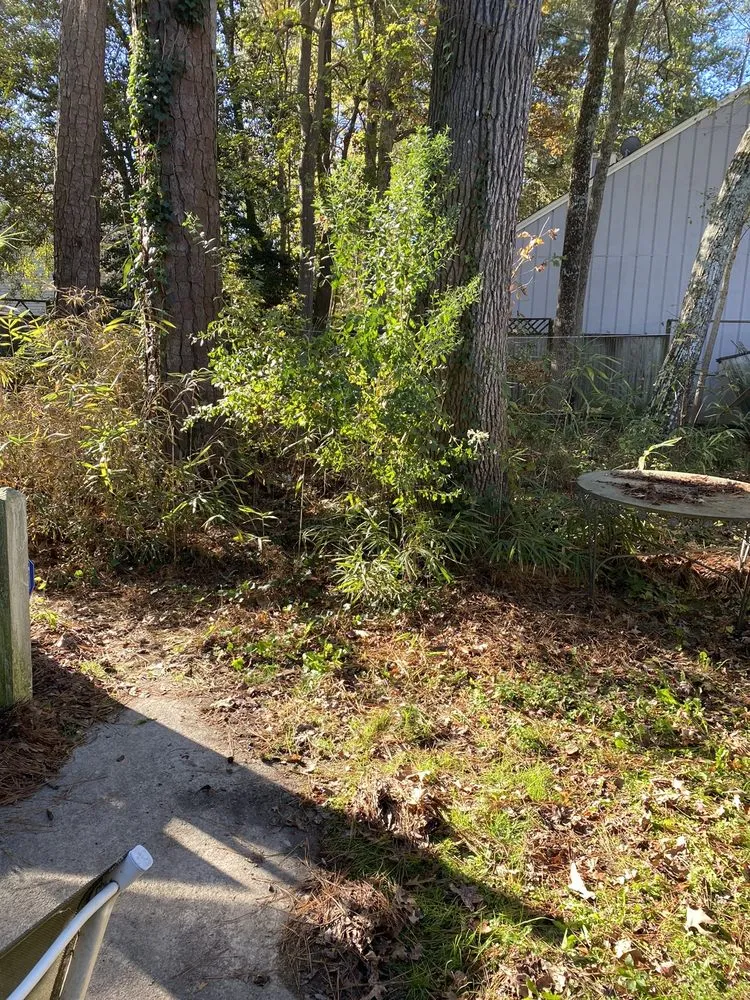 Reliable garden landscaping experts serving Wilson, NC - Lawn Miracles