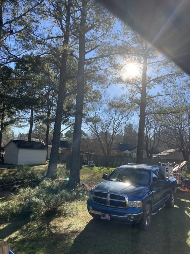 Local outdoor landscaping in Wilson, NC - Lawn Miracles