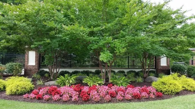 Affordable landscape design near you in Addison, IL by Lawn Mob Landscaping