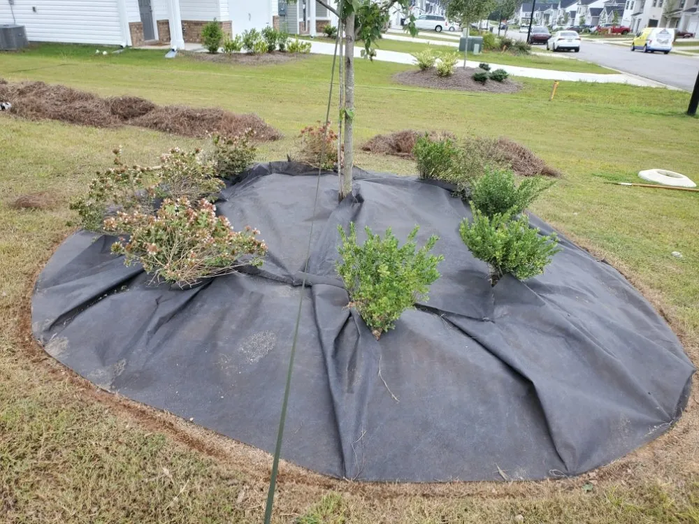 Affordable landscape installation in Evans, GA - Lawn Monarchz