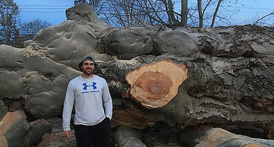 Custom lawn mowing service in Madison, CT by Lawn Monkey Landscaping