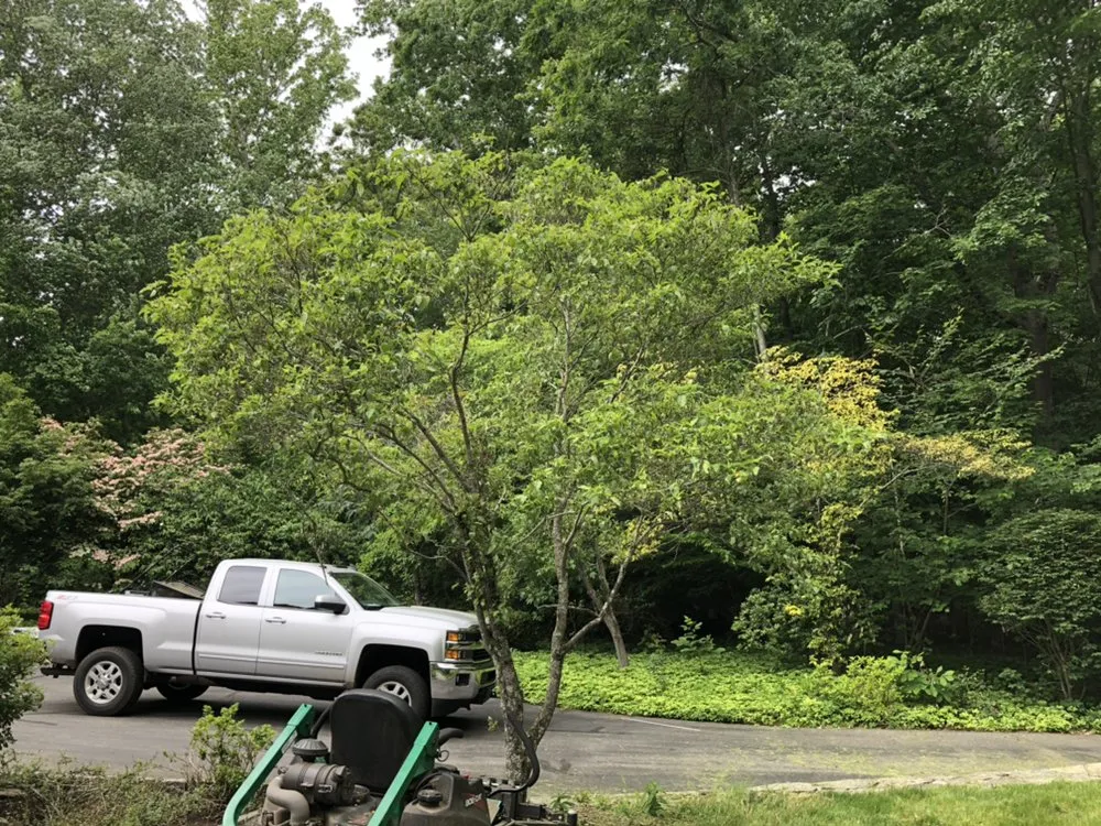 Local outdoor landscaping in Madison, CT by Lawn Monkey Landscaping