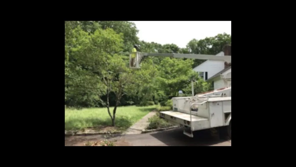 Professional garden landscaping for residential properties across Madison, CT - Lawn Monkey Landscaping