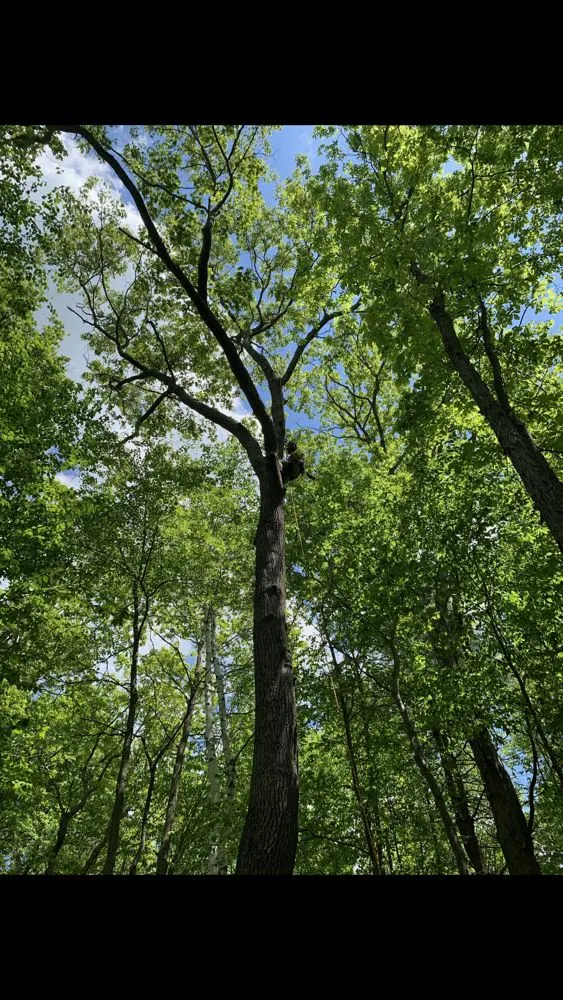 Trusted landscape design for homes across Madison, CT - Lawn Monkey Landscaping