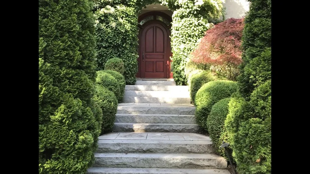 Professional yard maintenance in Madison, CT by Lawn Monkey Landscaping