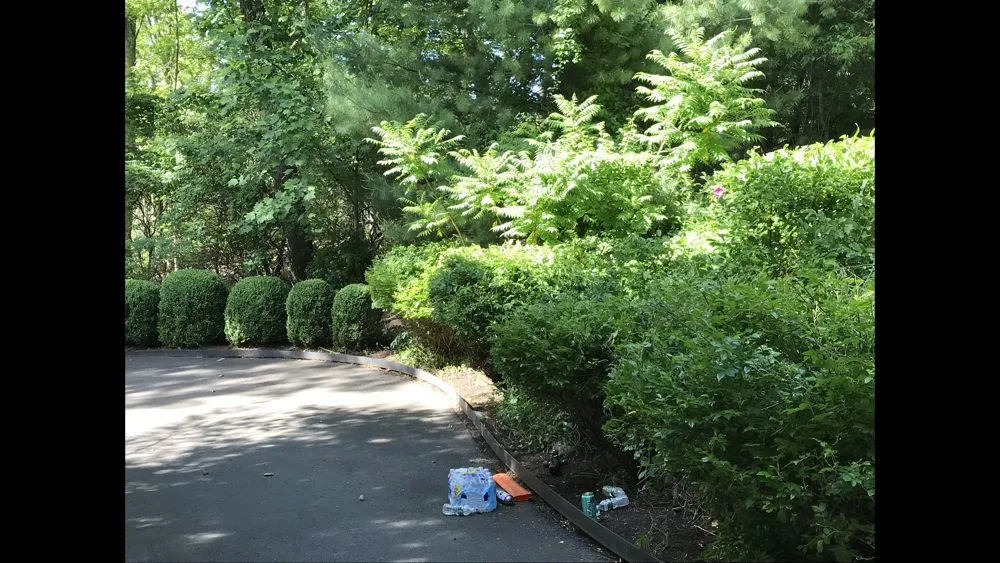 Local residential landscaping experts serving Madison, CT - Lawn Monkey Landscaping