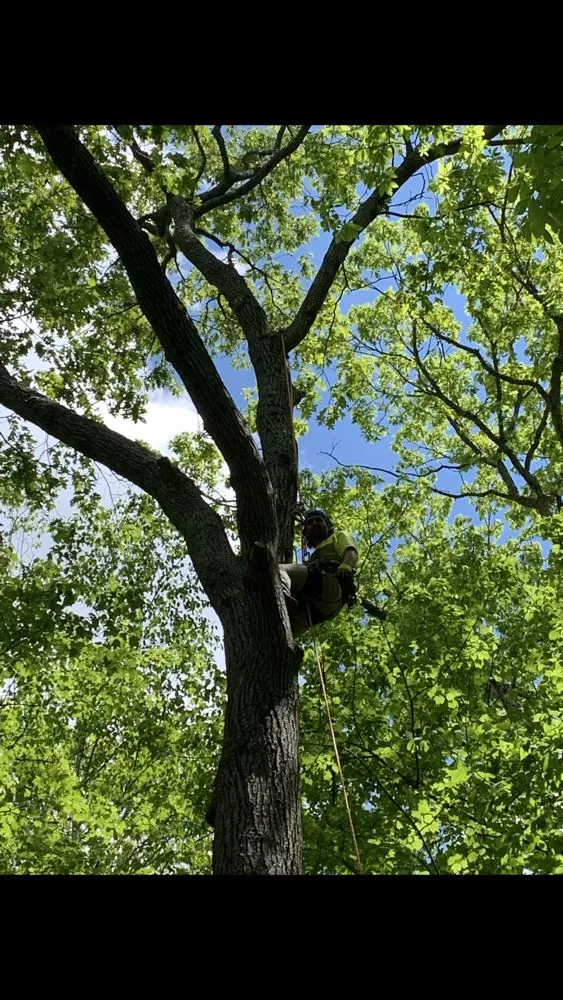 Trusted lawn mowing service for outdoor upgrades across Madison, CT - Lawn Monkey Landscaping