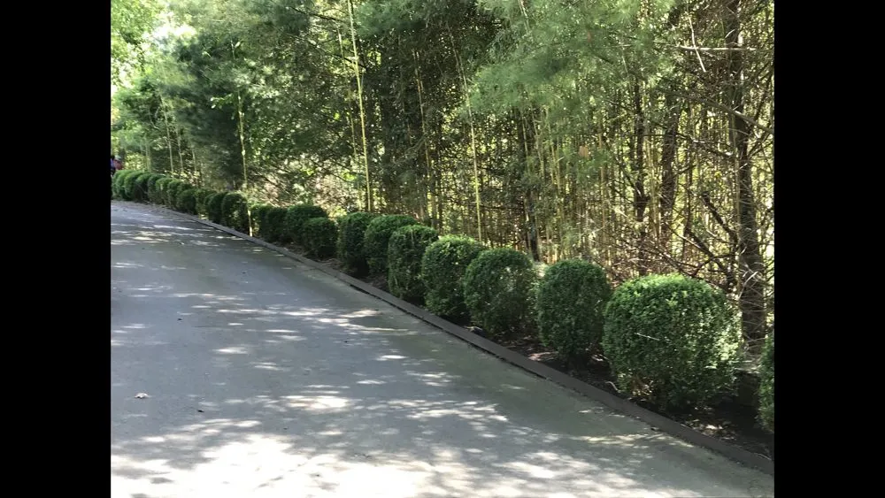 Trusted landscaping services in Madison, CT - Lawn Monkey Landscaping