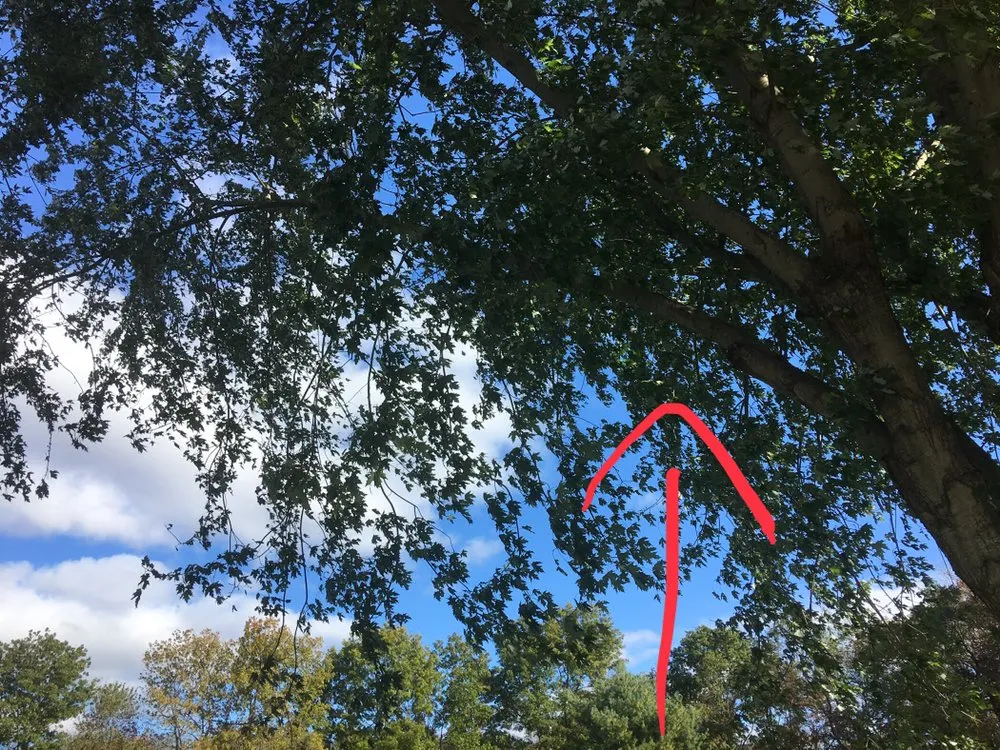 Top-rated residential landscaping near you in Madison, CT by Lawn Monkey Landscaping