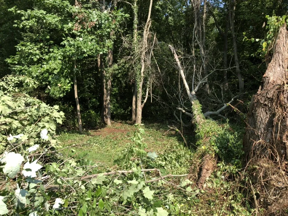 Reliable landscaping services with custom design in Madison, CT by Lawn Monkey Landscaping