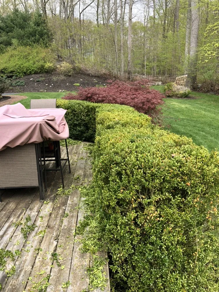 Expert yard cleanup service experts serving Madison, CT - Lawn Monkey Landscaping